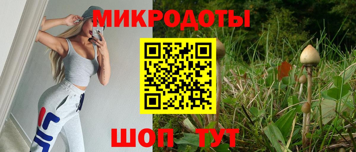 Псилоцибиновые грибы Psilocybe Россошь
