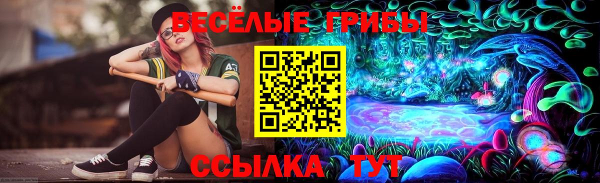 Псилоцибиновые грибы Psilocybe  Вход с VPN  Галлюциногенные грибы Psilocybine cubensis  Россошь 